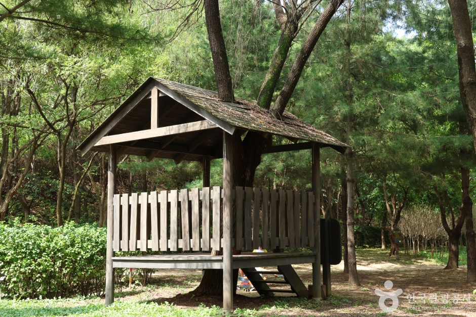 월드컵공원 유아숲체험원 (8)