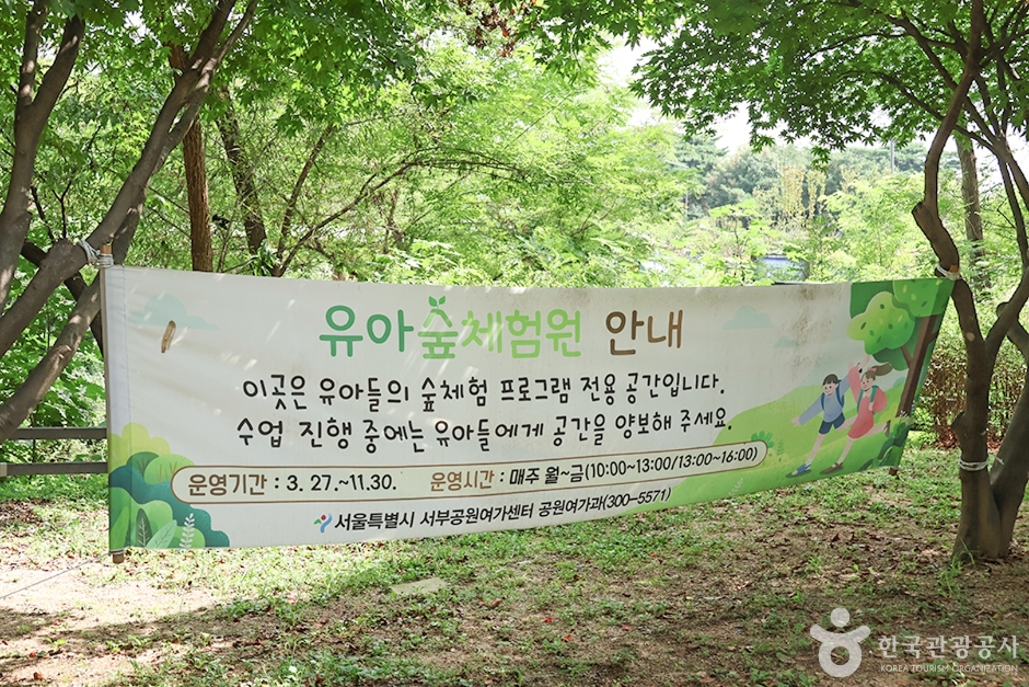 월드컵공원 유아숲체험원 (9)