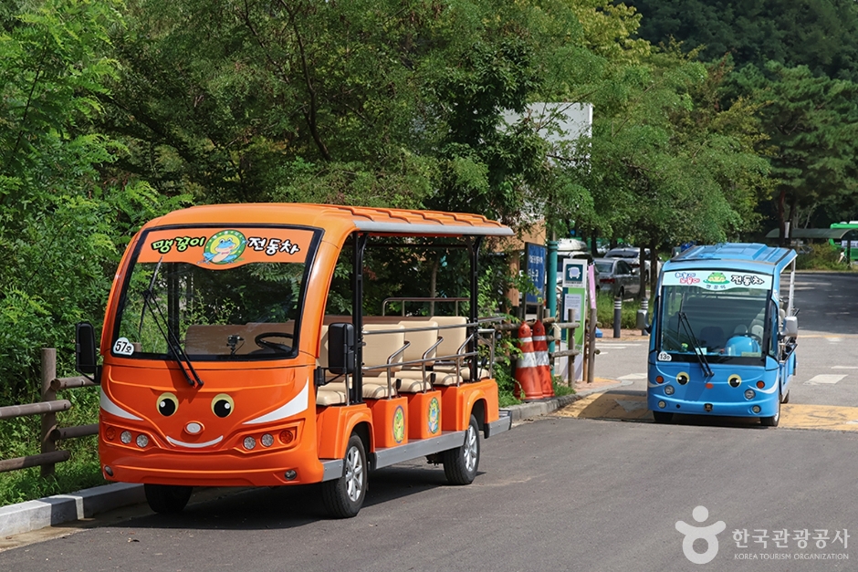 월드컵공원 유아숲체험원 (15)