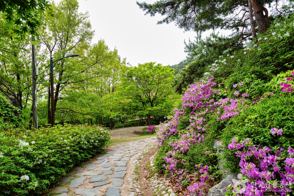 윤동주시인의언덕 (4)