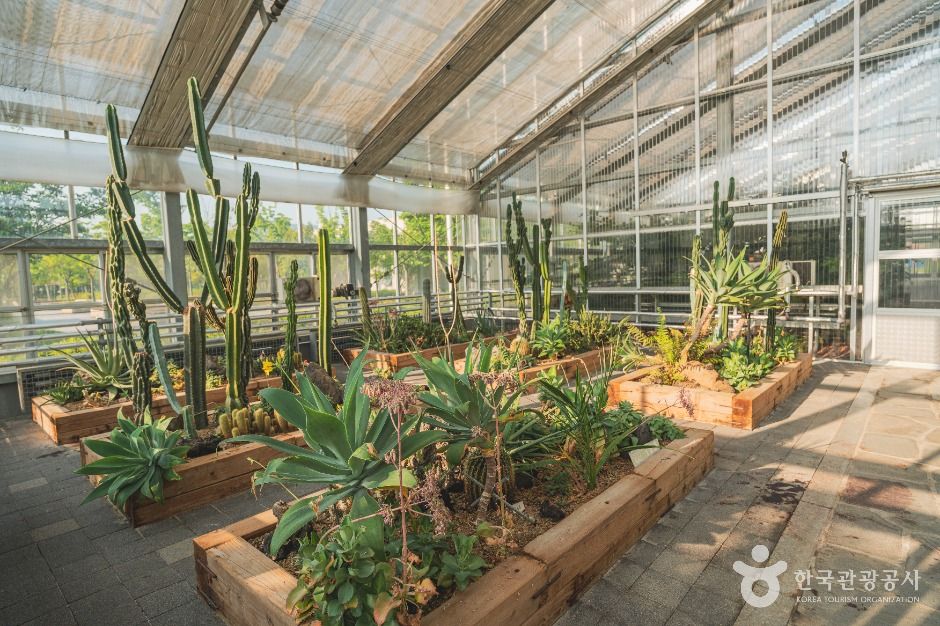 서울_일원에코파크 (2)