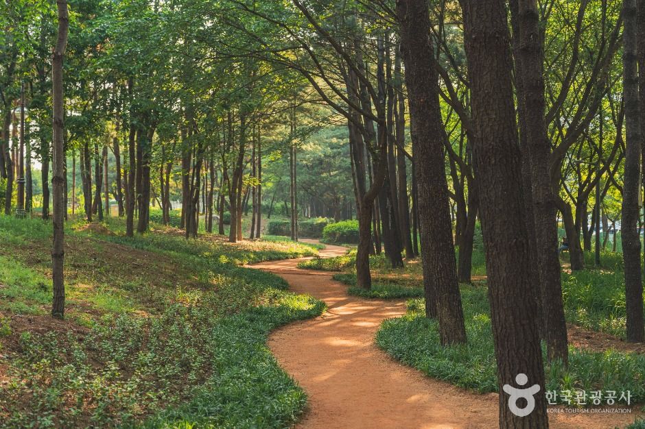 서울_일원에코파크 (6)