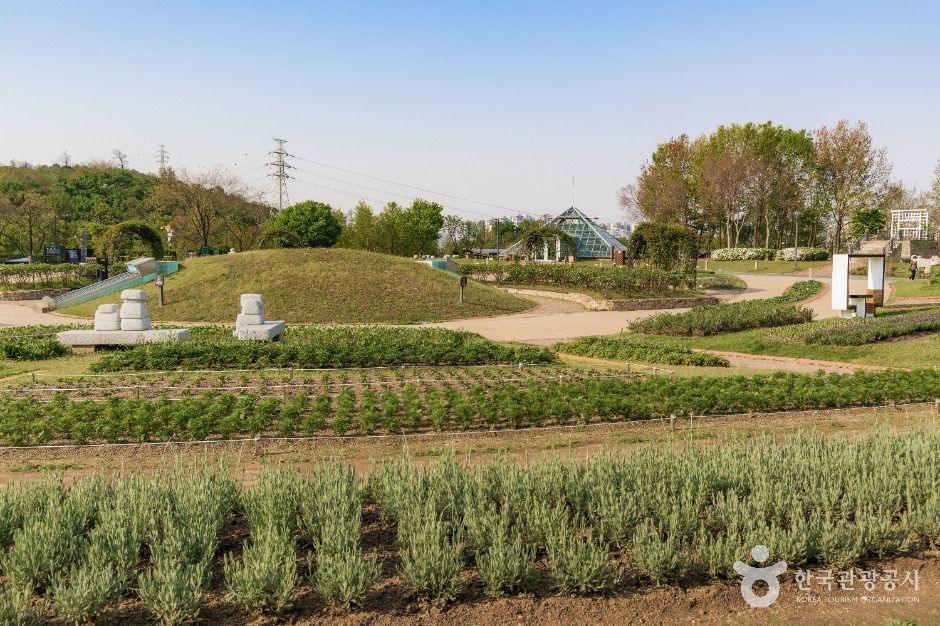 서울_일자산근린공원 (8)