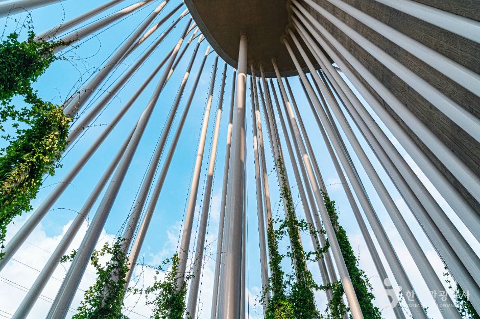 서울_자라나는 숲(광진숲 나루 전망대) (4)