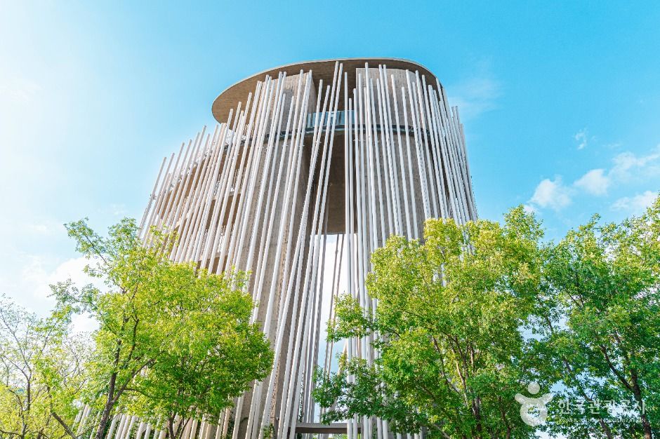 서울_자라나는 숲(광진숲 나루 전망대) (2)