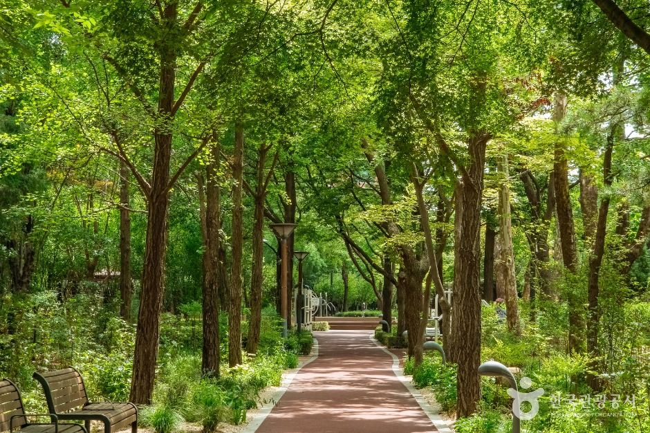 서울_자매공원(앙카라공원) (2)