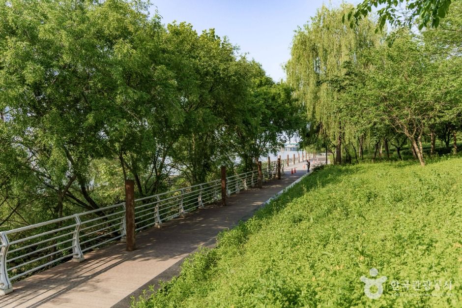 서울_잠실한강공원 (1)