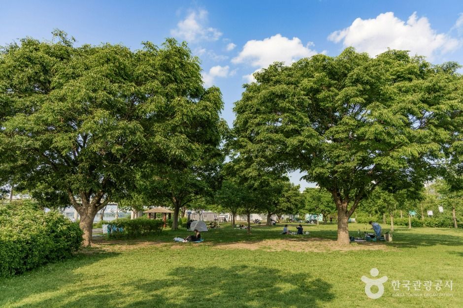 서울_잠실한강공원 (2)