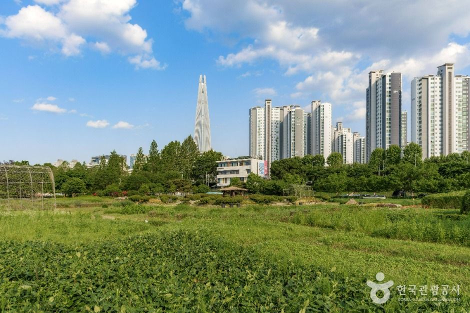 서울_잠실한강공원 (7)