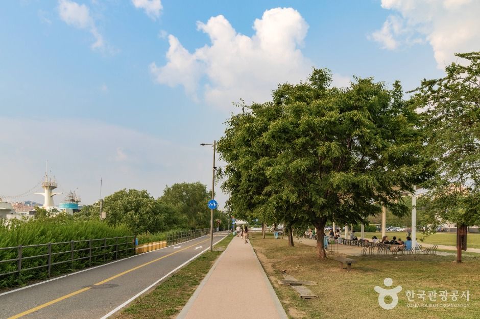 서울_잠원한강공원 (1)