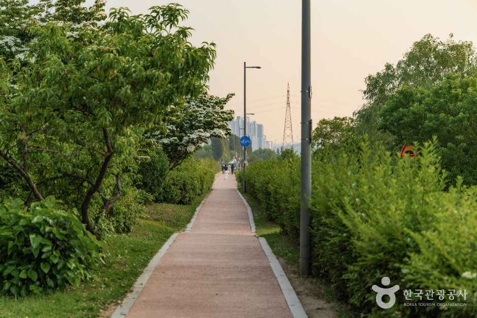 서울_잠원한강공원 (4)