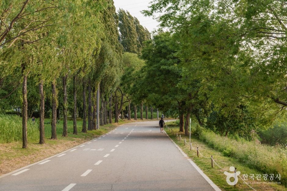 서울_잠원한강공원 (5)