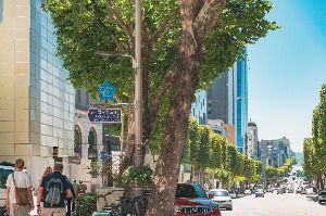 케이스타로드(KstarROAD)