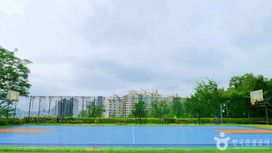 서울_은평_은평구생활체육광장 (4)