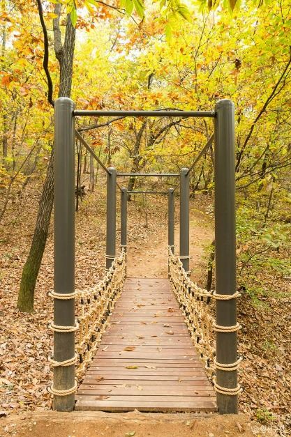 서울_지양산(무장애숲길, 유아숲체험원) (1)