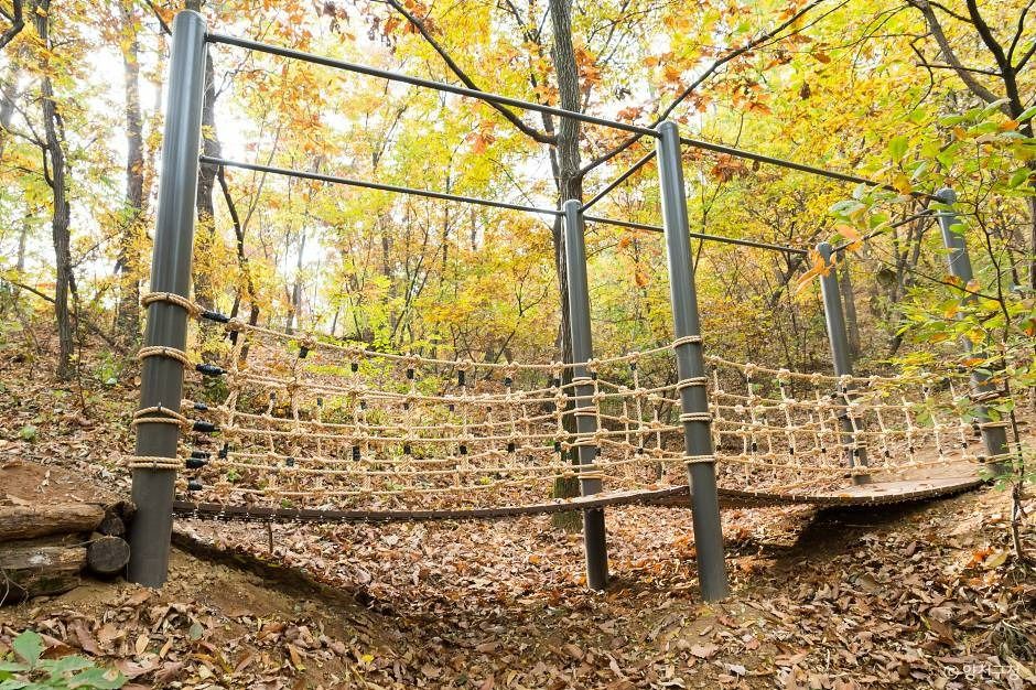 서울_지양산(무장애숲길, 유아숲체험원) (4)