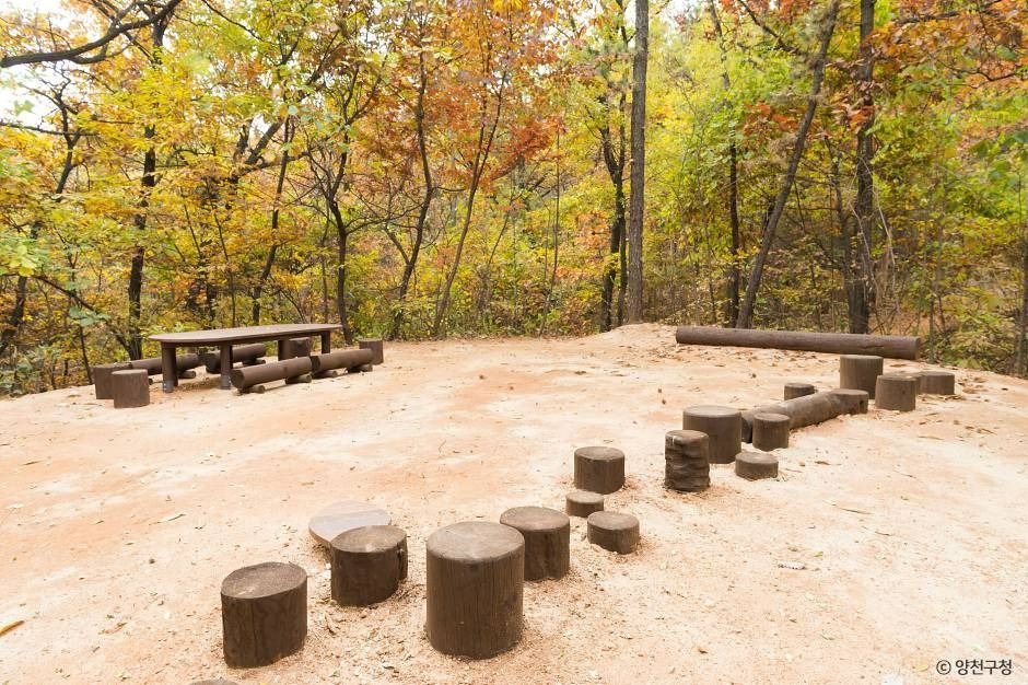 서울_지양산(무장애숲길, 유아숲체험원) (5)