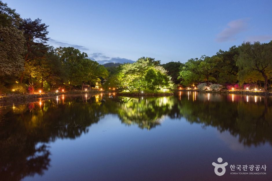 서울_창경궁 (6)