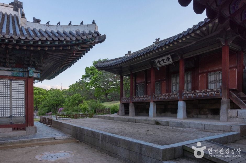 서울_창경궁 (8)