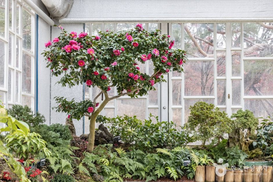 서울_자생식물학습장 (3)