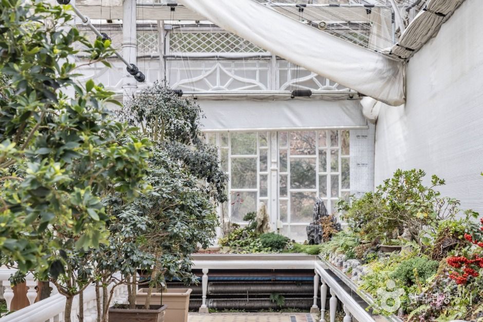 서울_자생식물학습장 (6)