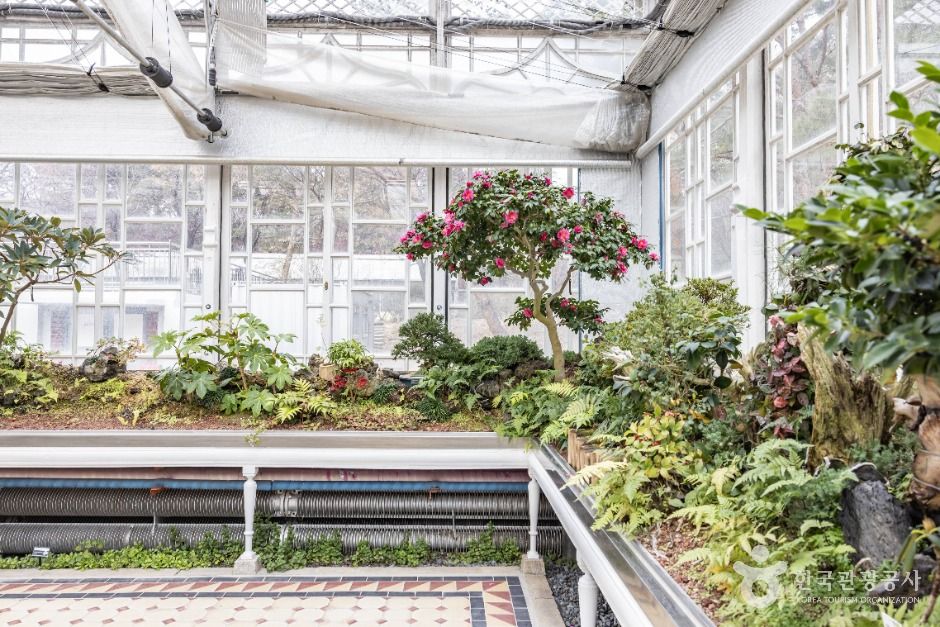 서울_자생식물학습장 (9)