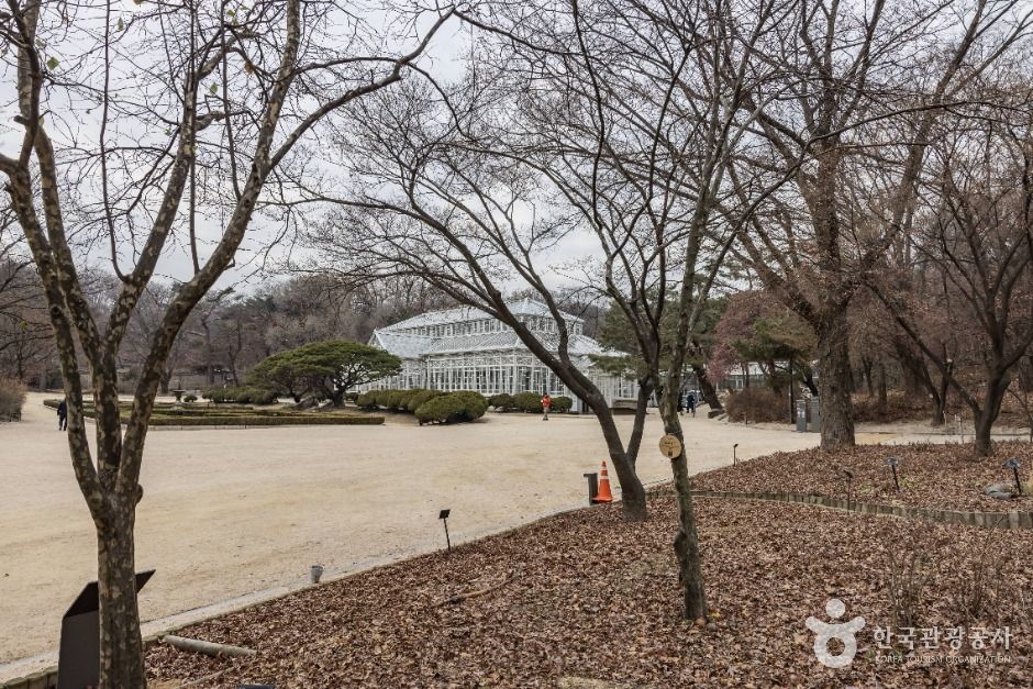 서울_자생식물학습장 (16)