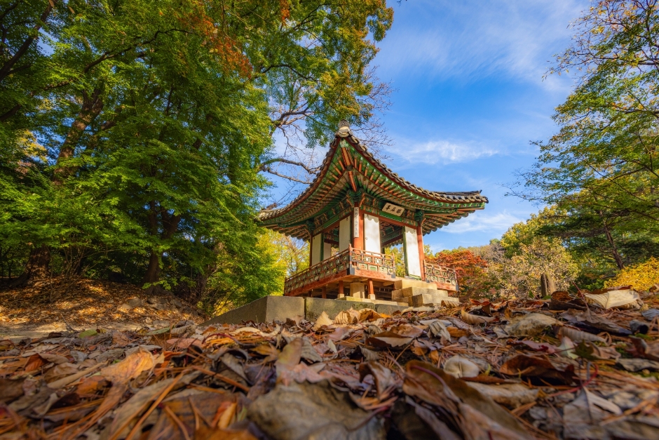 [아시아중동]창덕궁17(후원)_일반_1유형