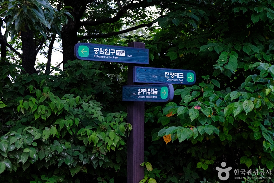 천마근린공원 (2)