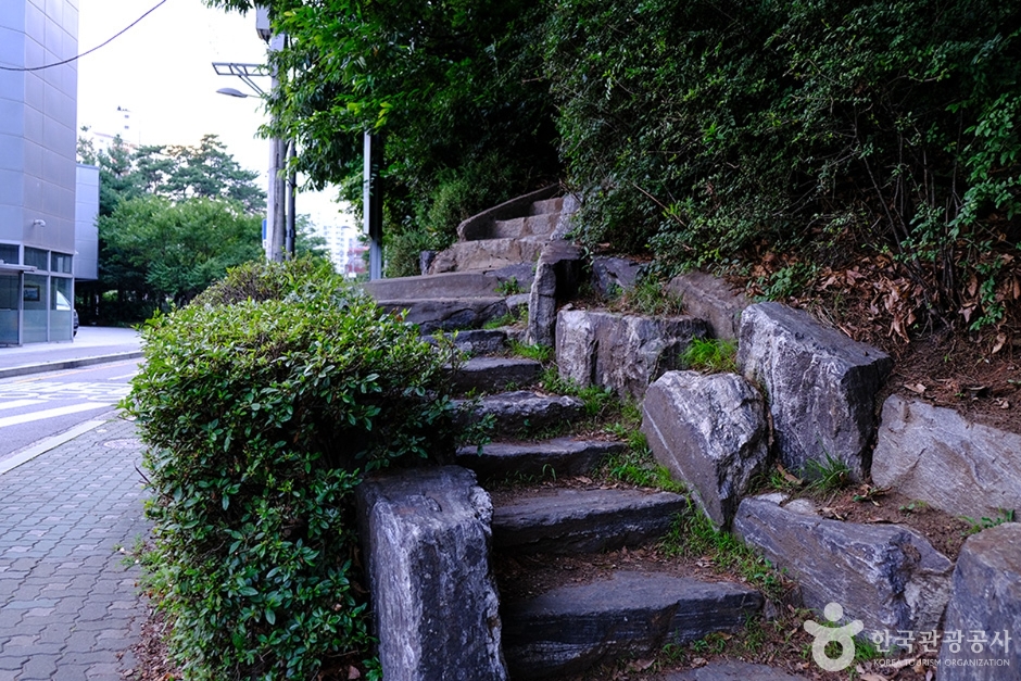 천마근린공원 (5)