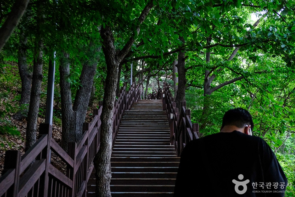 천마근린공원 (6)