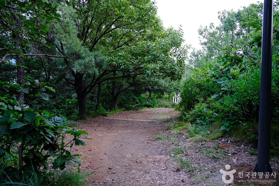 천마근린공원 (12)