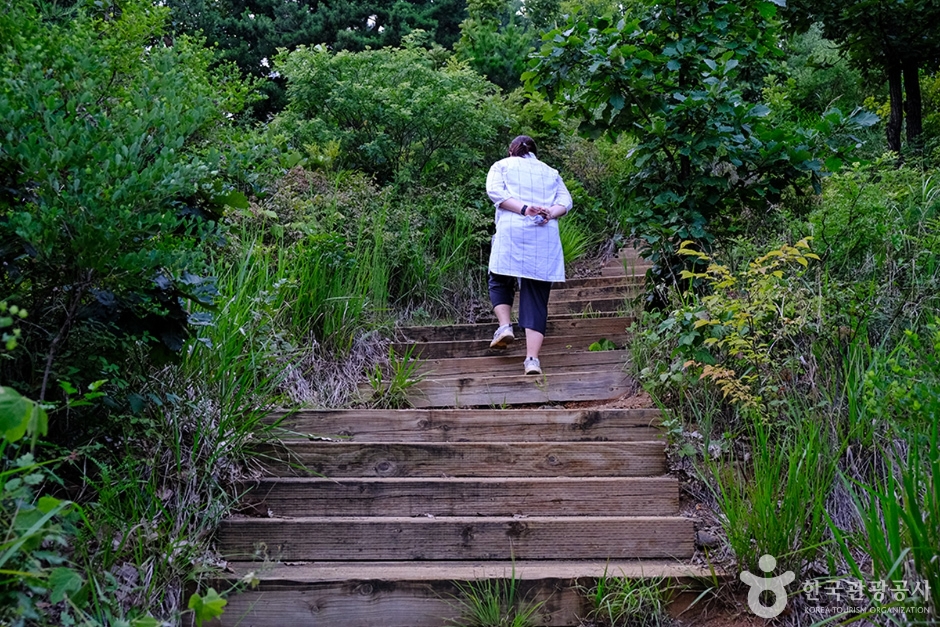 천마근린공원 (15)