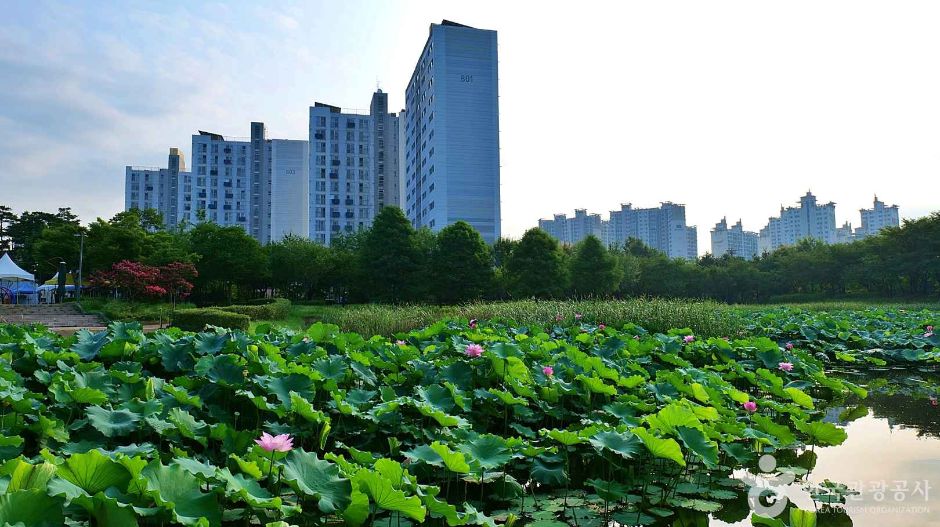 천왕근린공원 (2)