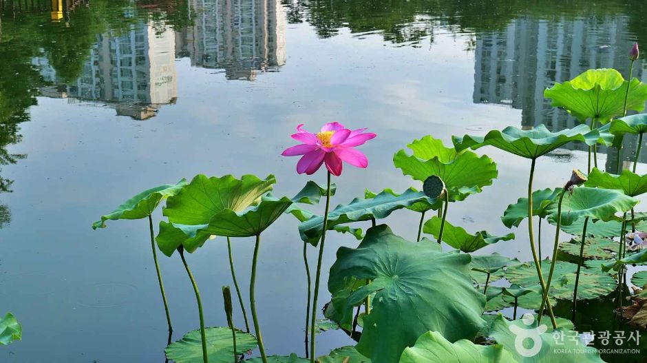 천왕근린공원 (3)