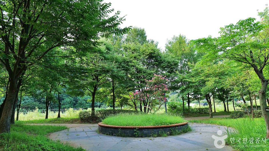 천왕근린공원 (4)