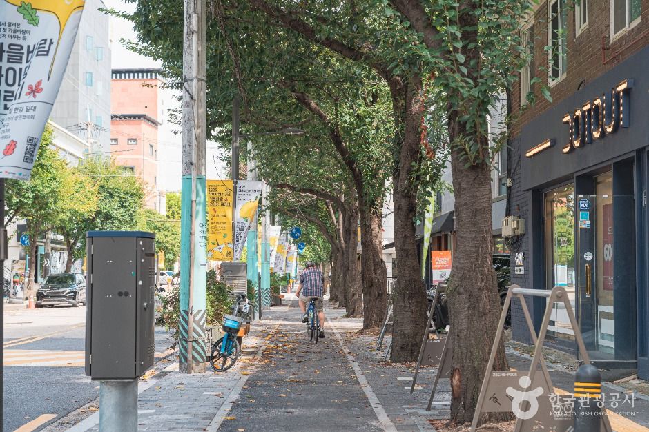 서울_천호자전거거리 (2)