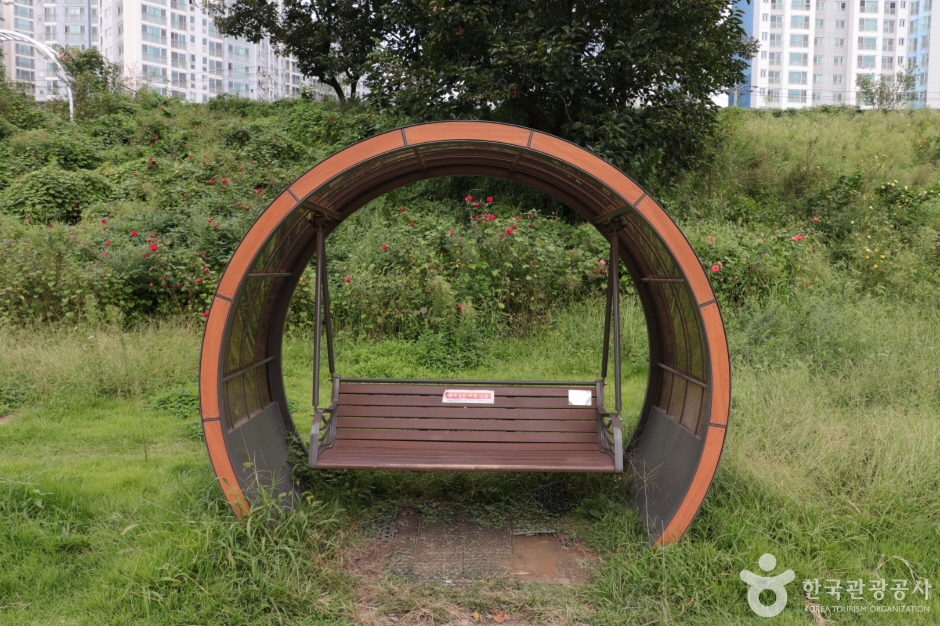 청계천 버들습지 (1)