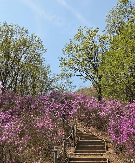 서울_청계산 (3)