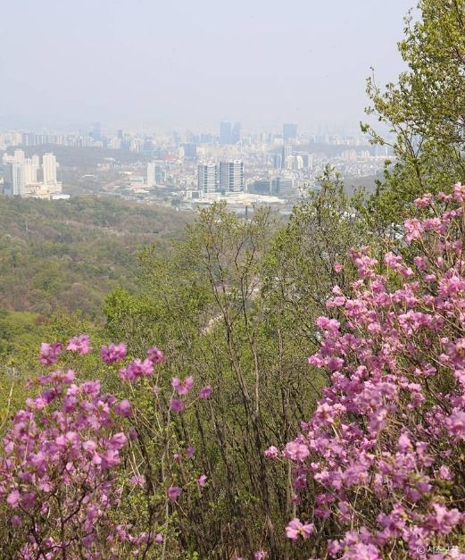 서울_청계산 (4)