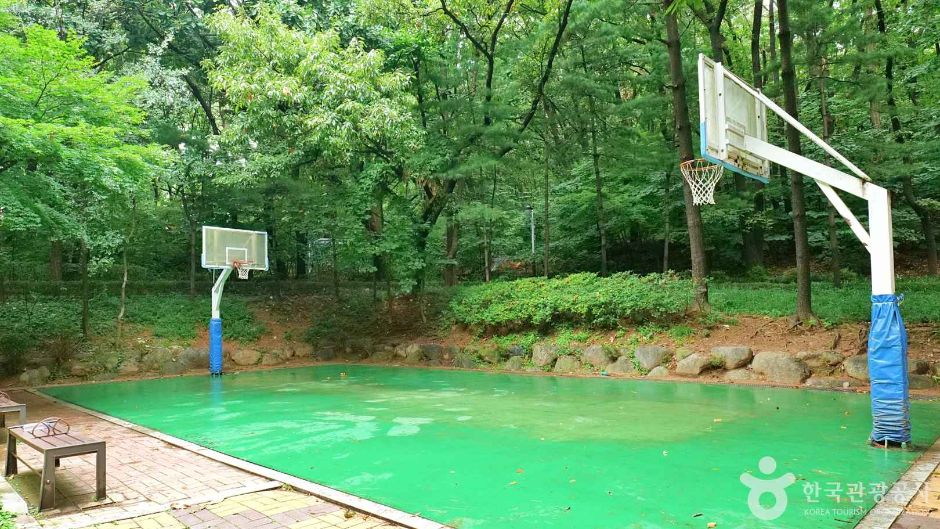 강남구_청담근린공원 (2)