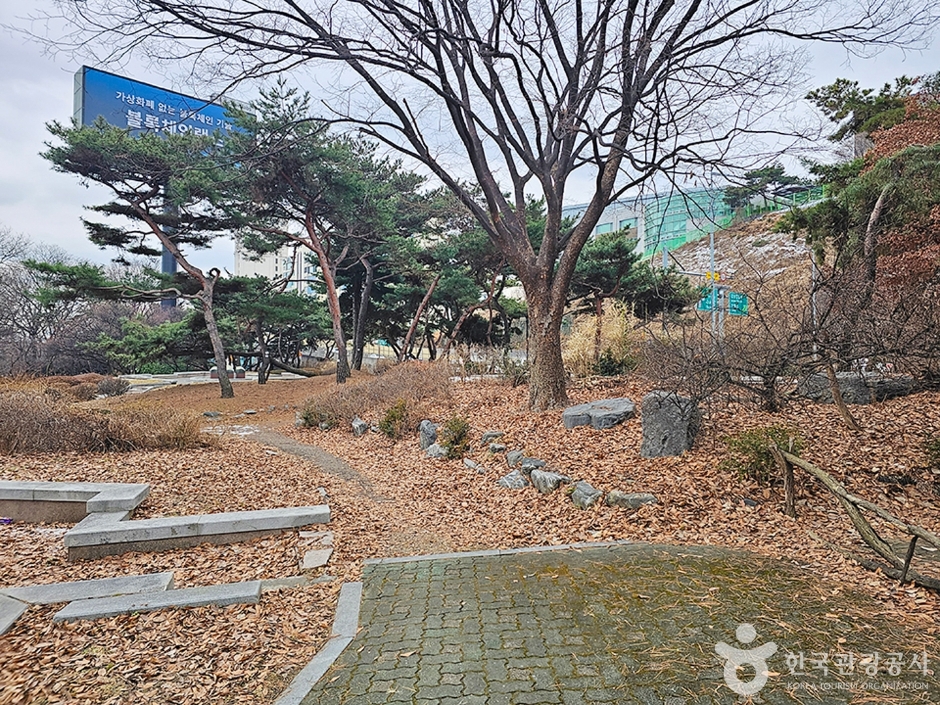 청담도로공원 (2)