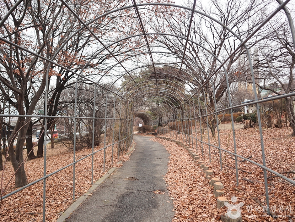 청담도로공원 (5)