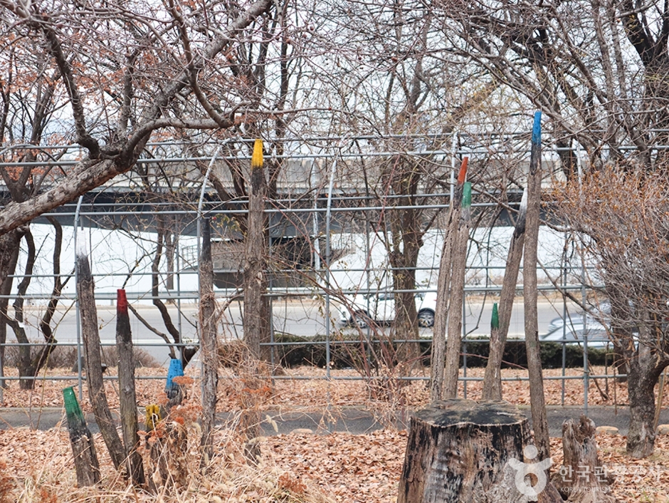 청담도로공원 (6)