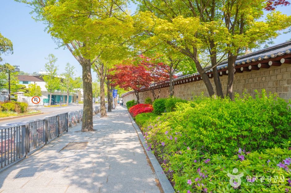 서울_청와대 앞길 (1)