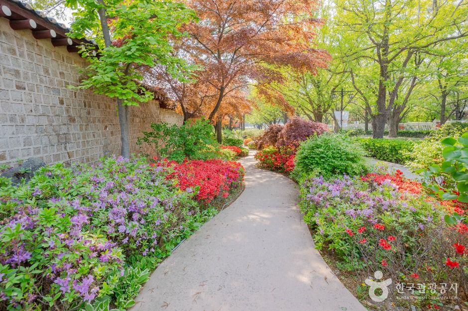 서울_청와대 앞길 (6)