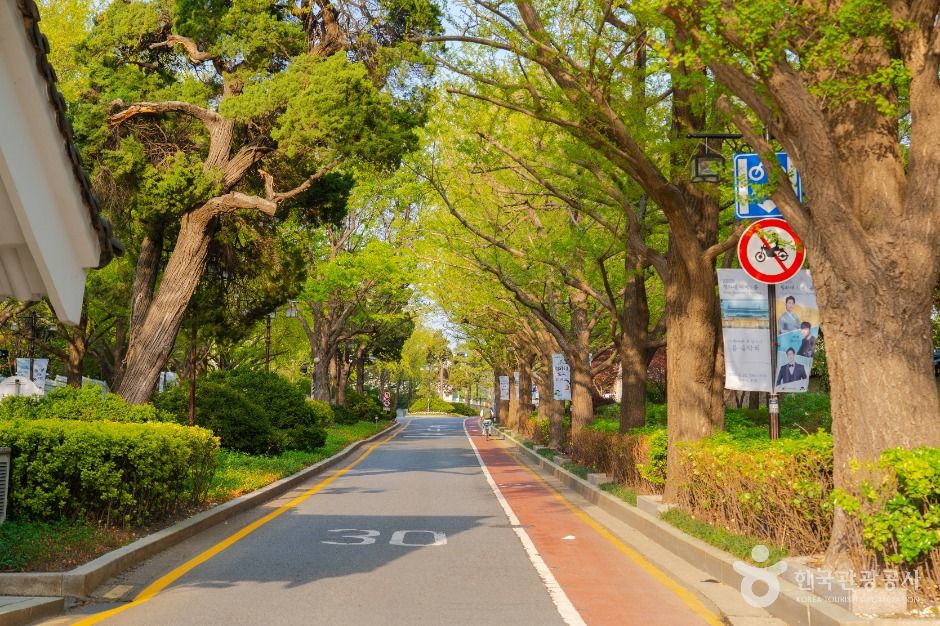 서울_청와대 앞길 (7)