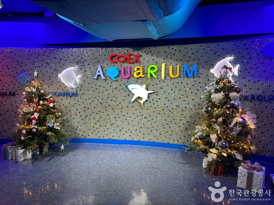 코엑스 아쿠아리움_8