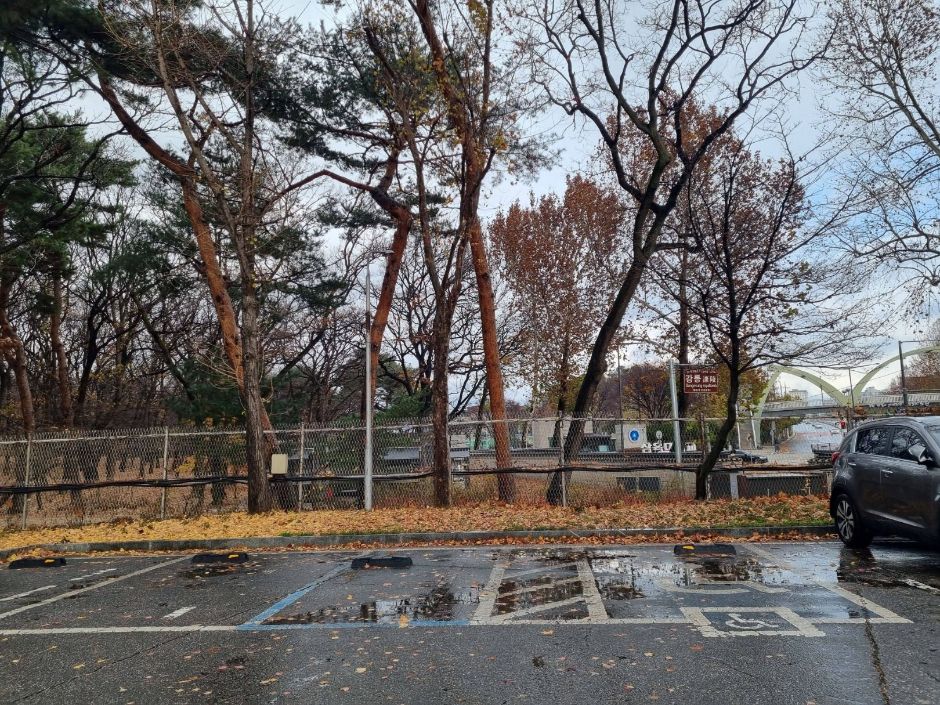 강릉_장애인주차장 (2)