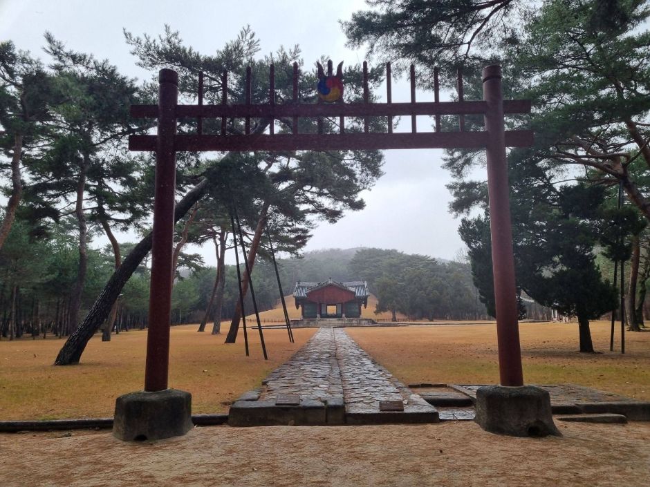 태릉강릉 전경 (3)